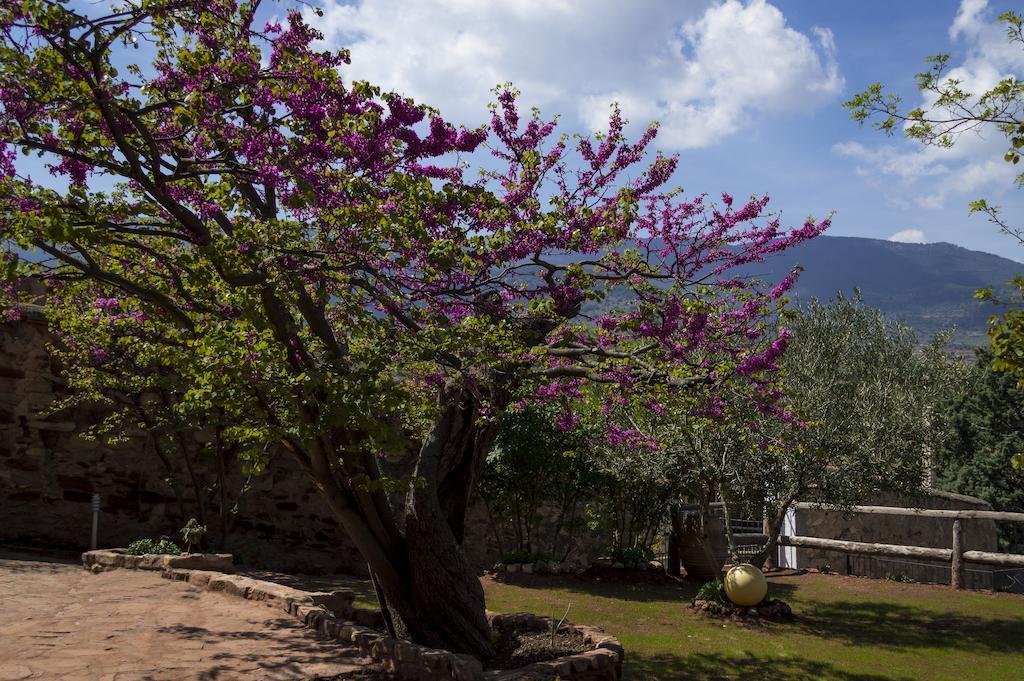 Gotor Casa Rural Los Lilos الغرفة الصورة