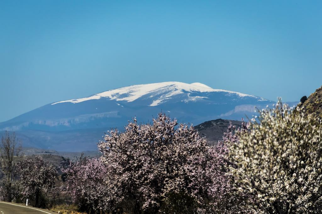 Gotor Casa Rural Los Lilos الغرفة الصورة
