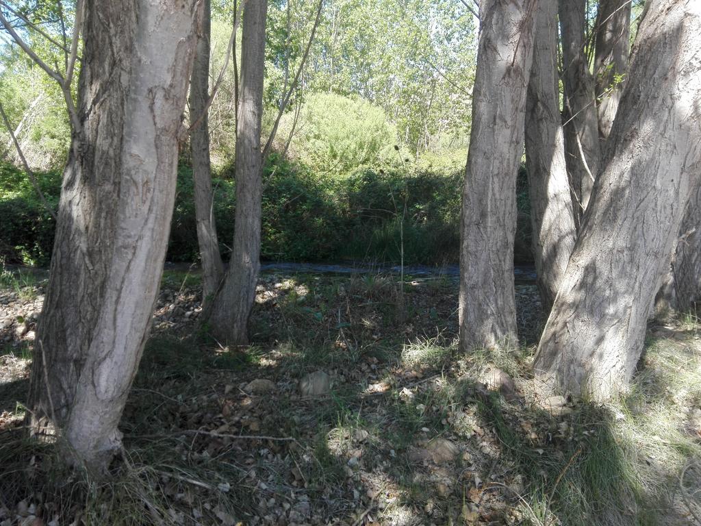 Gotor Casa Rural Los Lilos المظهر الخارجي الصورة